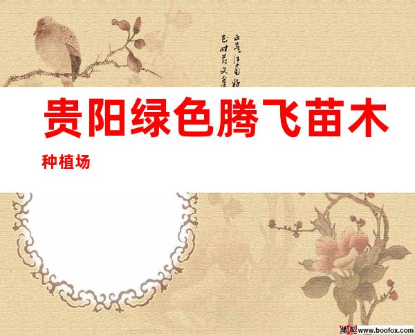 贵阳绿色腾飞苗木种植场